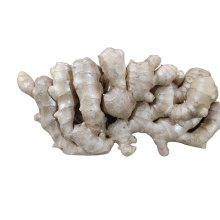 Chinese Fresh Ginger Air Dried Ginger